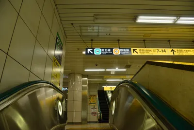 DSC_3598 (Large).JPG